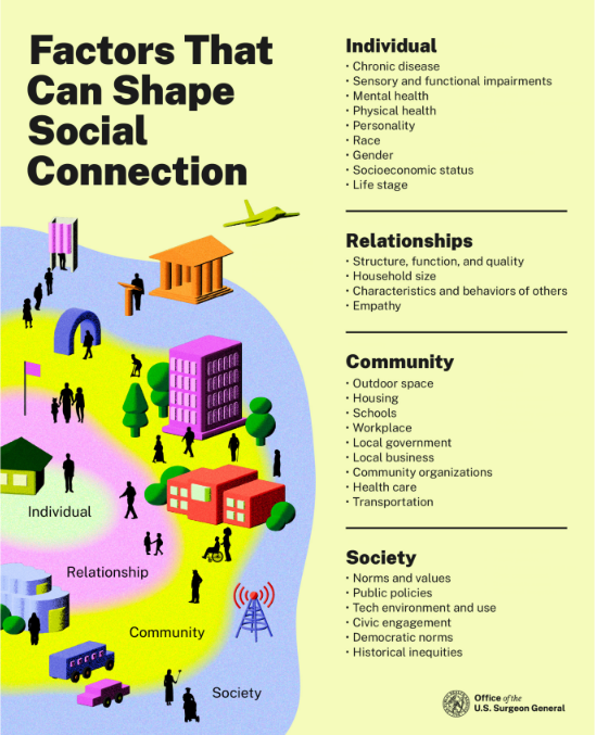 Fact sheet that shows factors that can shape social connection.